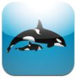 Launched by BS Tøkni sp/f New App “Whale List” Features Photos...